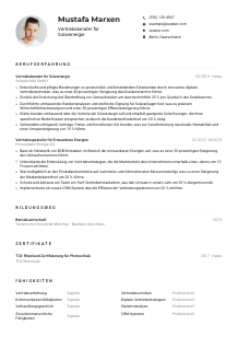 Lebenslauf-Muster für Vertriebsberater*in Solarenergie
