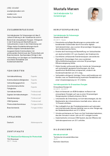 Lebenslauf-Vorlage für Vertriebsberater*in Solarenergie #2