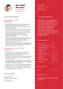 Lebenslauf-Vorlage für Vertriebsberater*in Solarenergie #3