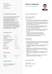 Lebenslauf-Vorlage für Technische*r Vertriebsleiter*in #2