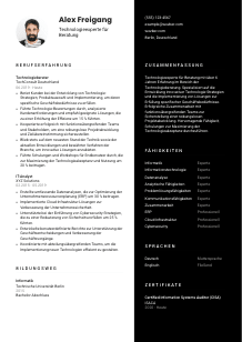 Lebenslauf-Vorlage für Technologieexpert*in für Beratung #3