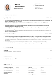 Lebenslauf-Muster für Vertriebsdirektor*in