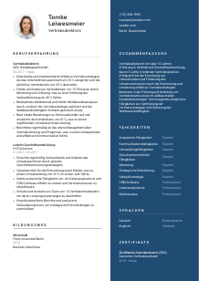 Lebenslauf-Vorlage für Vertriebsdirektor*in #2