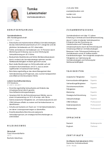 Lebenslauf-Vorlage für Vertriebsdirektor*in #1