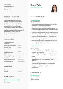 Lebenslauf-Vorlage für Vertriebsbeauftragte*r #2
