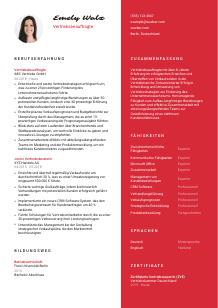 Lebenslauf-Vorlage für Vertriebsbeauftragte*r #3