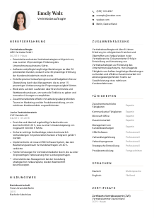 Lebenslauf-Vorlage für Vertriebsbeauftragte*r #1