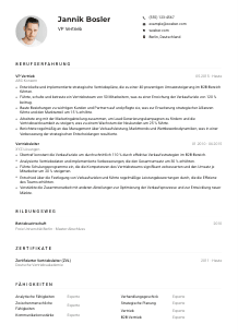 Lebenslauf-Muster für VP Vertrieb