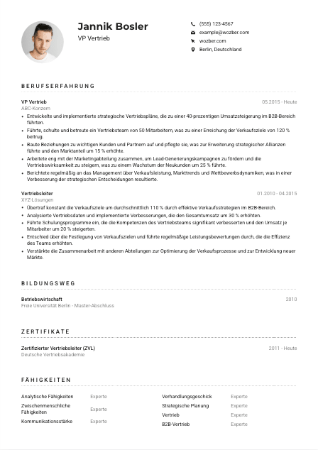 Lebenslauf-Muster für VP Vertrieb