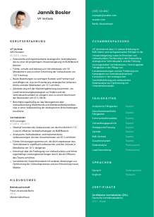 Lebenslauf-Vorlage für VP Vertrieb #2