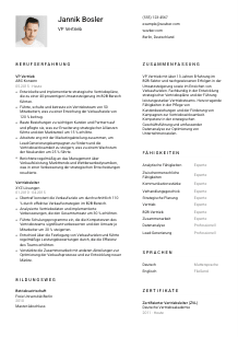 Lebenslauf-Vorlage für VP Vertrieb #1