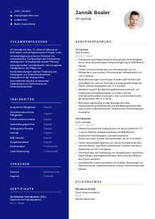 Lebenslauf-Vorlage für VP Vertrieb #3