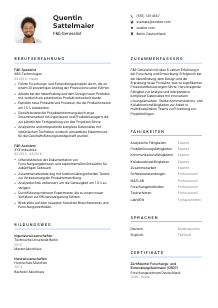 Lebenslauf-Vorlage für F&E-Generalist*in #2