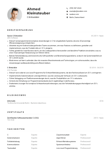 Lebenslauf-Muster für C-Entwickler*in