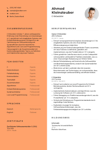 Lebenslauf-Vorlage für C-Entwickler*in #3