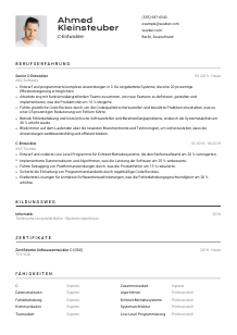 Lebenslauf-Vorlage für C-Entwickler*in #2