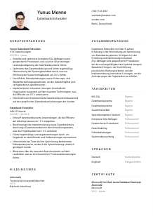 Lebenslauf-Vorlage für Datenbank-Entwickler*in #1