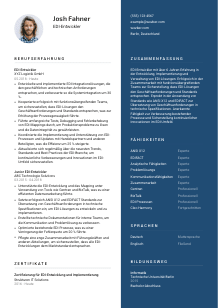 Lebenslauf-Vorlage für EDI-Entwickler*in #2