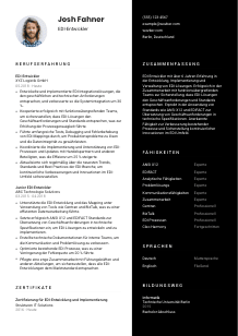 Lebenslauf-Vorlage für EDI-Entwickler*in #3