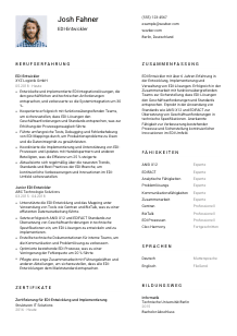Lebenslauf-Vorlage für EDI-Entwickler*in #1
