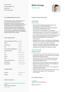Lebenslauf-Vorlage für GIS-Entwickler*in #2