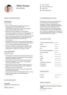 Lebenslauf-Vorlage für GIS-Entwickler*in #1
