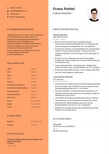 Lebenslauf-Vorlage für Hadoop-Entwickler*in #3