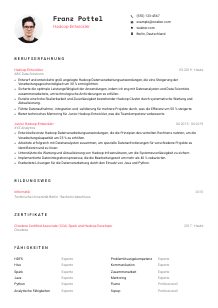 Lebenslauf-Vorlage für Hadoop-Entwickler*in #1