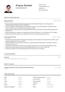 Lebenslauf-Vorlage für Hadoop-Entwickler*in #2