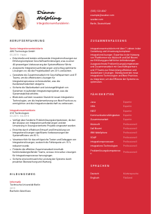 Lebenslauf-Vorlage für Integrationsentwickler*in #3