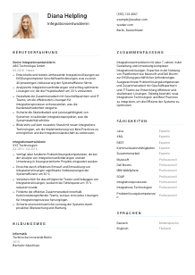 Lebenslauf-Vorlage für Integrationsentwickler*in #1