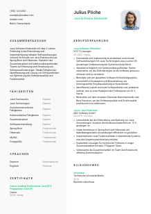 Lebenslauf-Vorlage für Java-Software-Entwickler*in #2
