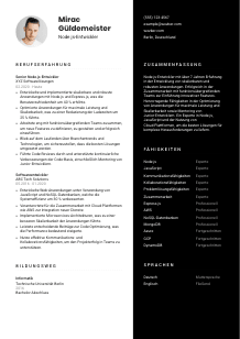 Lebenslauf-Vorlage für Node.js-Entwickler*in #3