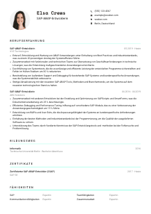 Lebenslauf-Vorlage für SAP-ABAP-Entwickler*in #3