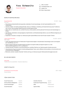 Lebenslauf-Vorlage für Scala-Entwickler*in #1