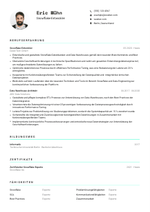 Lebenslauf-Vorlage für Snowflake-Entwickler*in #3