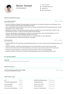 Lebenslauf-Vorlage für SQL-Entwickler*in #3