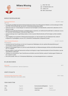 Lebenslauf-Vorlage für Frontend Entwickler*in #3