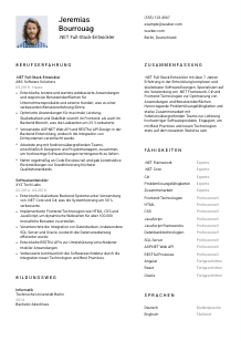Lebenslauf-Vorlage für .NET Full-Stack-Entwickler*in #1