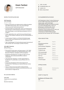Lebenslauf-Vorlage für SAP-Entwickler*in #2