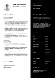 Lebenslauf-Vorlage für Freiberufliche*r Entwickler*in #3
