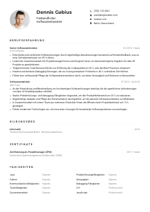Lebenslauf-Muster für Freiberufliche*r Softwareentwickler*in