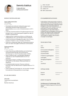 Lebenslauf-Vorlage für Freiberufliche*r Softwareentwickler*in #2