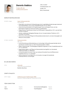 Lebenslauf-Vorlage für Freiberufliche*r Softwareentwickler*in #1