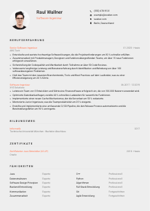 Lebenslauf-Vorlage für Software-Ingenieur*in #3