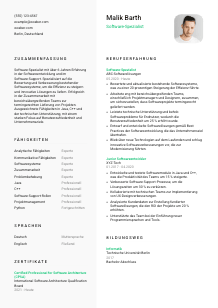 Lebenslauf-Vorlage für Software-Spezialist*in #2