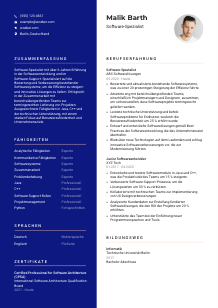 Lebenslauf-Vorlage für Software-Spezialist*in #3