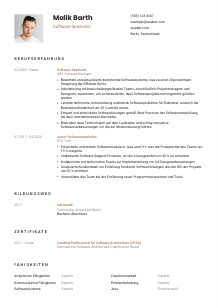 Lebenslauf-Vorlage für Software-Spezialist*in #1