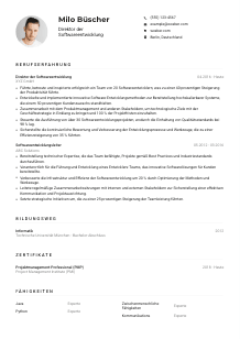 Lebenslauf-Muster für Direktor*in Softwareentwicklung