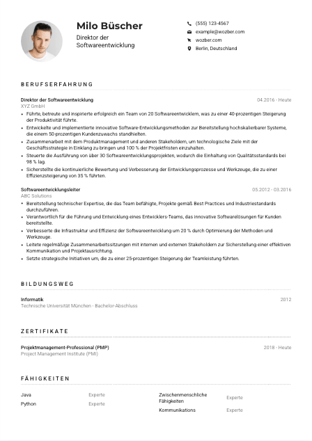 Lebenslauf-Muster für Direktor*in Softwareentwicklung